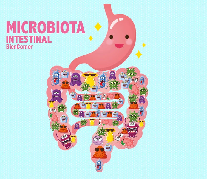 ¿Qué es la microbiota intestinal?